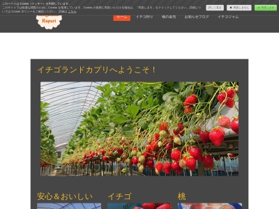 イチゴランド カプリ(日本、〒648-0151 和歌山県伊都郡九度山町慈尊院 慈尊院1160)