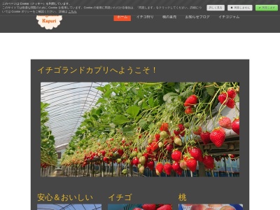 イチゴランド カプリのクチコミ・評判とホームページ