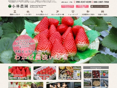 小林農園(日本、〒689-0606鳥取県東伯郡湯梨浜町原宮田1074−1)