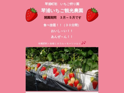 苺工房ファームむらかみ(日本、〒689-2521 鳥取県東伯郡琴浦町竹内)