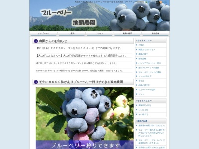 ブルーベリー地頭農園(日本、〒689-3319 鳥取県西伯郡大山町赤松572−328)
