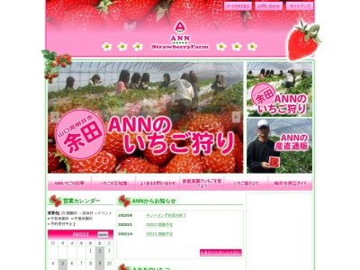 ANN Strawberry Farmのクチコミ・評判とホームページ