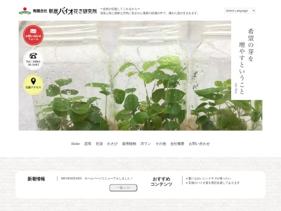 （有）新居バイオ花き研究所(日本、〒779-1510 徳島県阿南市新野町川亦８５−１)
