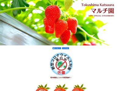 マルチ園 いちご(日本、〒771-4301 徳島県勝浦郡勝浦町沼江平間７ 771 4301)