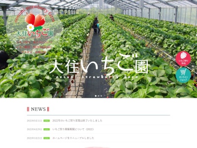 Strawberry - 大住いちご園(日本、〒771-0220徳島県板野郡松茂町広島北川向二ノ越)