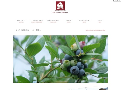 西条ブルーベリー農園(日本、〒793-0010愛媛県西条市飯岡3108)