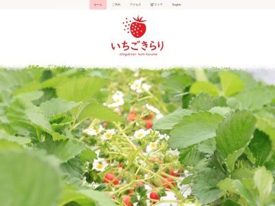 いちごきらり(日本、〒830-1113福岡県久留米市北野町中2414)