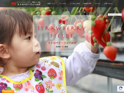 Sucre fraise（シュクレフレーズ）(日本、〒818-0025 福岡県筑紫野市筑紫１２７８)
