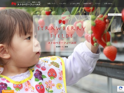 筑紫野いちご農園のクチコミ・評判とホームページ
