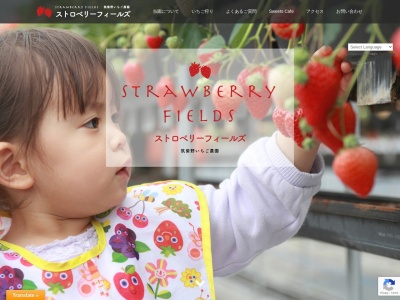 筑紫野いちご農園(日本、〒818-0025福岡県筑紫野市筑紫１２７８)