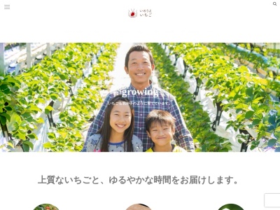 いのうえいちご(日本、〒824-0821福岡県京都郡みやこ町勝山上田262−1)