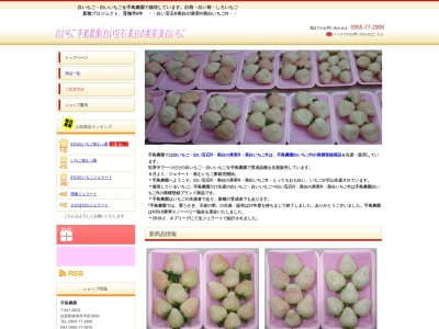 白いちご 手島農園(日本、〒847-0023佐賀県唐津市半田3659)