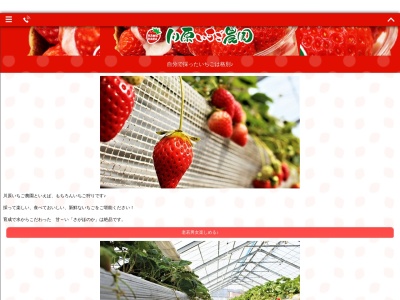 川原いちご農園(日本、〒882-0026宮崎県延岡市柚の木田町１１９５)