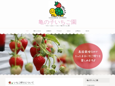 亀の子いちご園(日本、〒883-0033宮崎県日向市塩見)