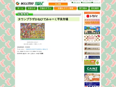 タウンプラザかねひで宮古店(沖縄県宮古島市平良字西里964)