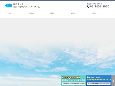 税理士法人 青山アカウンティングファーム(日本、〒107-0062 東京都港区南青山2丁目13−2 サンライズ青山ビル101)
