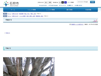 千本ナラ(日本、〒061-3112北海道石狩市浜益区送毛)