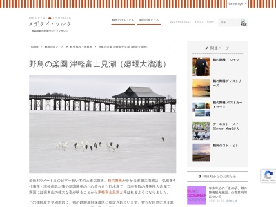 津軽富士見湖（廻堰大溜池）(日本、〒038-3542青森県北津軽郡鶴田町廻堰大沢８１－１５０)