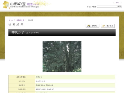 神代カヤ(日本、〒990-1141山形県西村山郡大江町小釿２８)