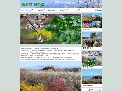 西田町 梅の里(日本、〒963-0922福島県郡山市西田町三町目長喜田46)