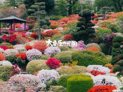 大桑原つつじ園(日本、〒962-0056福島県須賀川市大桑原字竹の花13)