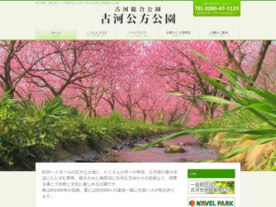 大賀蓮池(日本、〒306-0046茨城県古河市牧野地319)