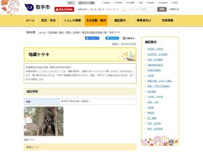 地蔵ケヤキ(日本、〒302-0038茨城県取手市下高井１３０６)