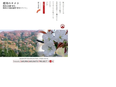 桜川のサクラ(日本、〒309-1457茨城県桜川市磯部740−2)