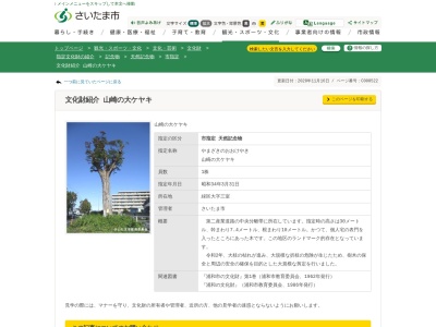 山崎の大ケヤキ(日本、〒336-0903埼玉県さいたま市緑区山崎1丁目)