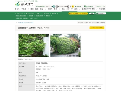 正圓寺のドウダンツツジ(日本、〒338-0004 埼玉県さいたま市中央区本町西4丁目3−15−2)