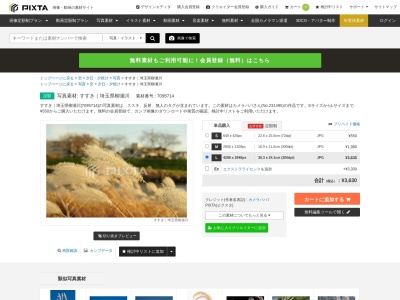 柳瀬川すすき(日本、〒351-0025埼玉県朝霞市三原3丁目35°49'49.139°33'34.0