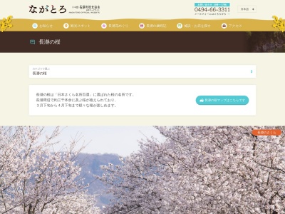 法善寺のしだれ桜のクチコミ・評判とホームページ