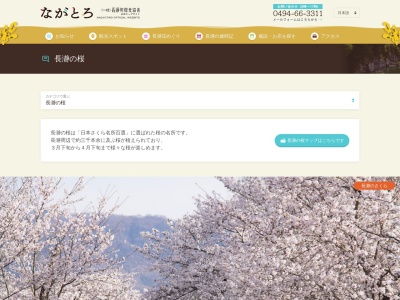 法善寺のしだれ桜(日本、〒369-1312埼玉県秩父郡長瀞町井戸)