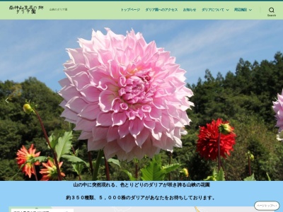 両神山麓 花の郷 ダリア園(日本、〒368-0201埼玉県秩父郡小鹿野町両神薄８２４０−２)