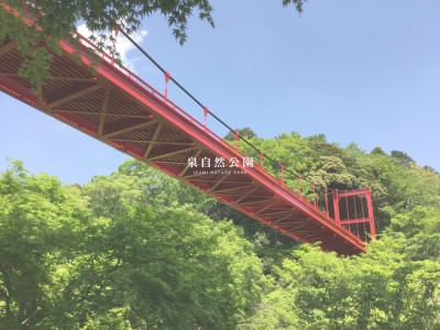泉自然公園(日本、〒265-0053千葉県千葉市若葉区野呂町108)