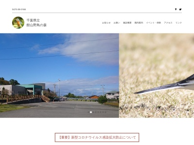 館山野鳥の森(日本、〒294-0233千葉県館山市大神宮)