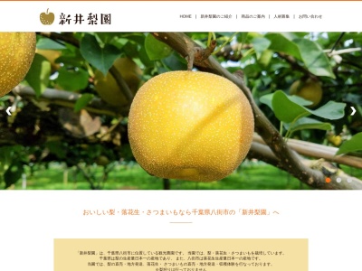 新井梨園(日本、〒289-1144千葉県八街市千葉県八街市八街ろ５６－１０５)