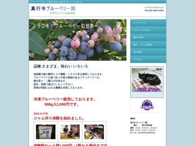 真行寺ブルーベリー園(日本、〒289-1104千葉県八街市文違３０１)