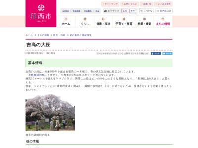 吉高の大桜(日本、〒270-1603千葉県印西市吉高９３０)