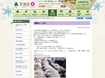 播磨坂さくら並木(日本、〒112-0002東京都文京区小石川4、5丁目境)
