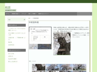 中村佰年桜のクチコミ・評判とホームページ