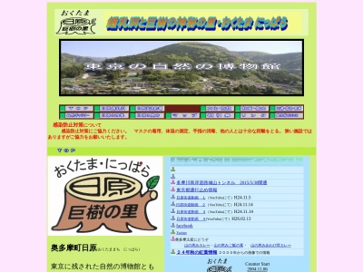 都指定天然記念物・日原鍾乳洞(日本、〒198-0211東京都西多摩郡奥多摩町日原1052)