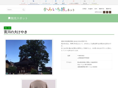 宮川の大けやき(日本、〒930-0314富山県中新川郡上市町若杉36)