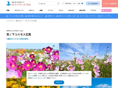宮ノ下コスモス広苑(日本、〒910-3113福井県福井市江上町37−7)