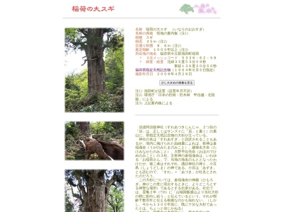 稲荷の大スギ(日本、〒910-2512福井県今立郡池田町稲荷１２−８)