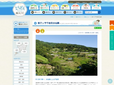 梨子ヶ平千枚田水仙園(日本、〒916-0301福井県丹生郡越前町梨子ヶ平)
