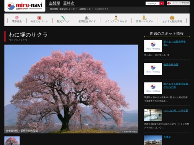 わに塚のサクラのクチコミ・評判とホームページ