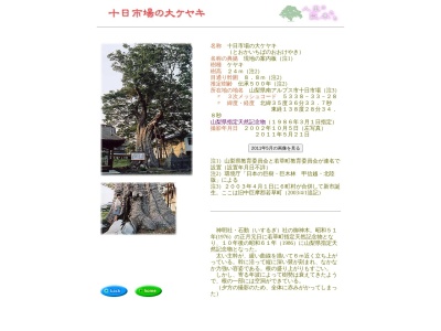 十日市場の大ケヤキ(日本、〒400-0336山梨県南アルプス市十日市場1959)