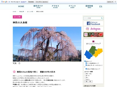 神田の大イトザクラ(日本、〒408-0042山梨県北杜市小淵沢町松向2767)