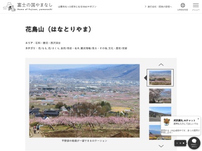 花鳥山一本杉(日本、〒406-0832山梨県笛吹市八代町竹居５０５１)